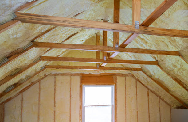 Best Cellulose Insulation  in Farm Loop, AK