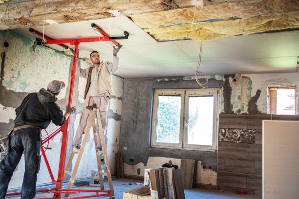 Best Attic Insulation Installation  in Farm Loop, AK