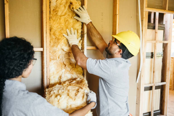 Best Attic Insulation Installation  in Farm Loop, AK