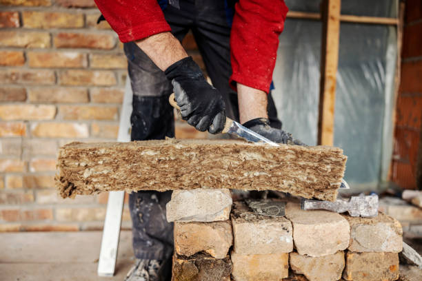Best Insulation Contractor Near Me  in Farm Loop, AK