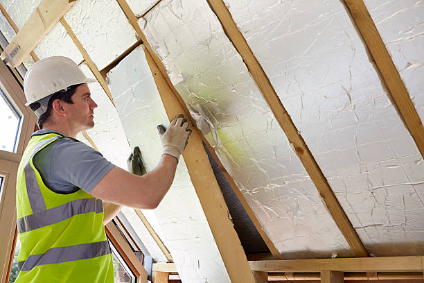 Best Insulation for New Construction  in Farm Loop, AK