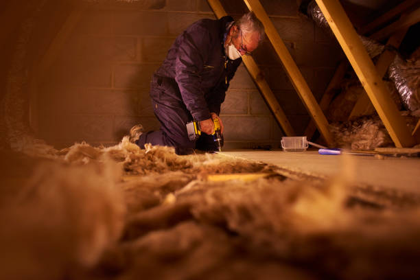 Best Professional Insulation Contractor  in Farm Loop, AK